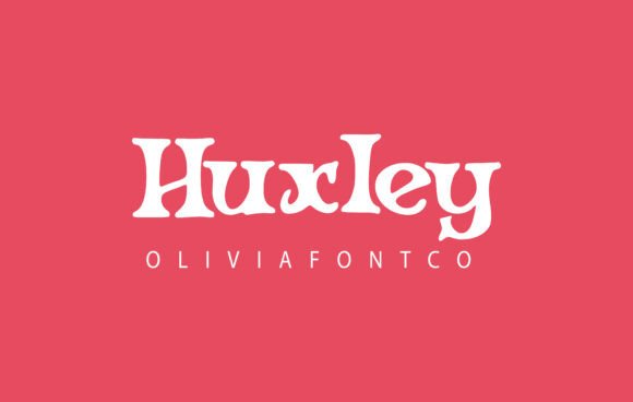 Huxley Review: A Sans Serif Font Built for Campaign Impact