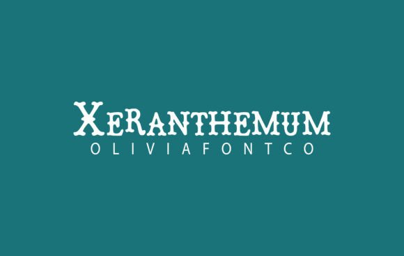 Xeranthemum Slab Serif Font for Handmade Romance